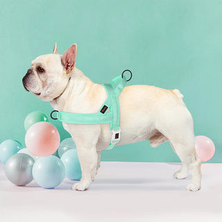 No Pull Dog Harness