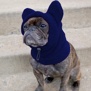 Dog Fleece Bat Hat
