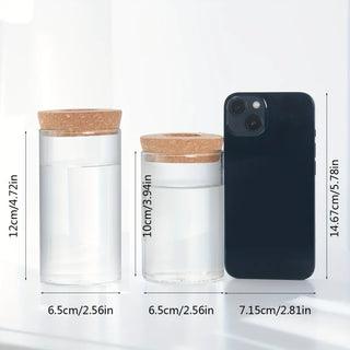 Hydroponics Glass Planter Vase