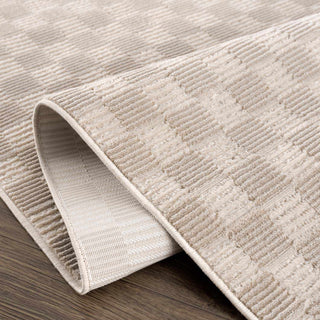 Durable Machine-Woven Rug