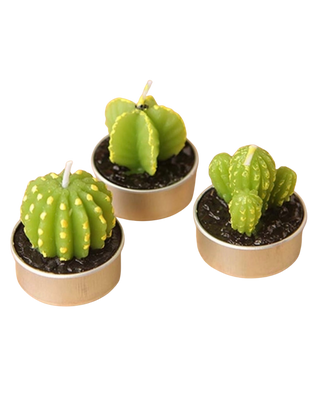 Cactus Candles 6 Piece Set