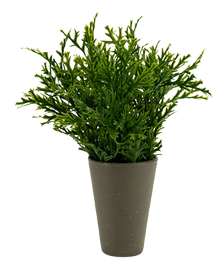 Plastic Plant Pot