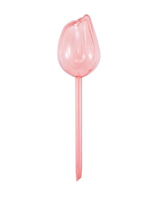 Tulip Plant Watering Balls