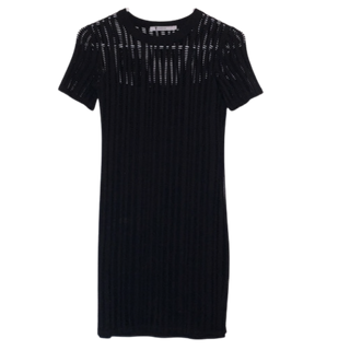 Alexander Wang Mini Dress