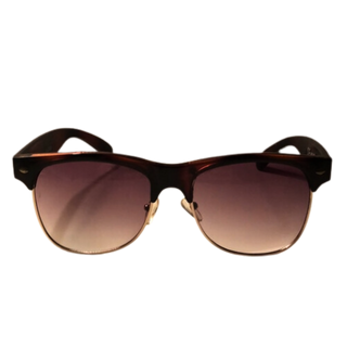 Aldo Browline Sunglasses