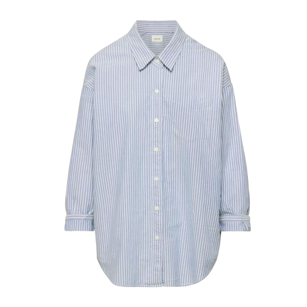Aritzia Wilfred Free Relaxed Oxford Shirt