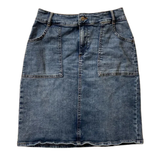 Banana Republic Denim Stretch Skirt