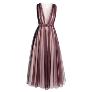 Club Monaco Tulle Dress