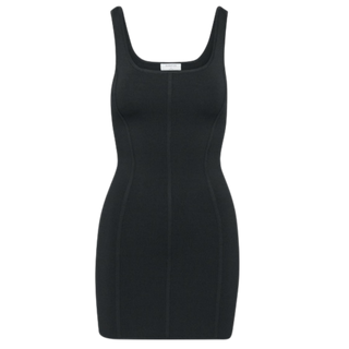 Aritzia Saguaro Dress