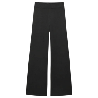 Aritzia Perridon Pants