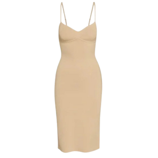 Aritzia x Babaton Lariat Dress