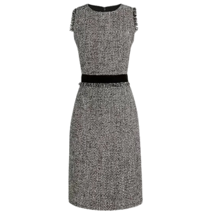 J. Crew Sparkly Tweed Dress