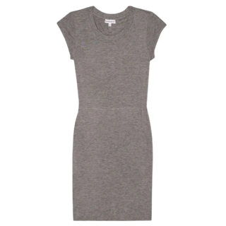 Aritzia Community Dress