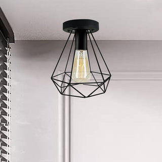 Wire Cage Ceiling Flush Light