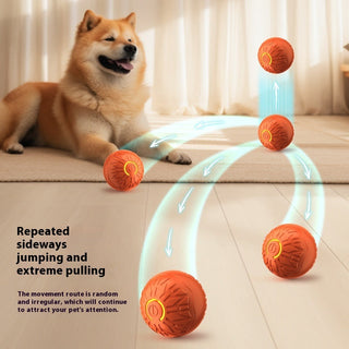 Electric Jumping Pet Ball