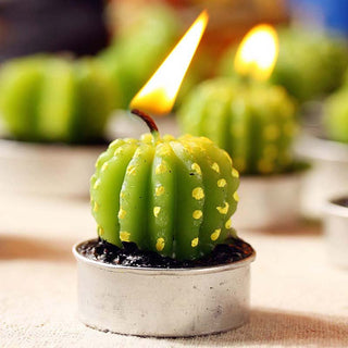 Cactus Candles 6 Piece Set