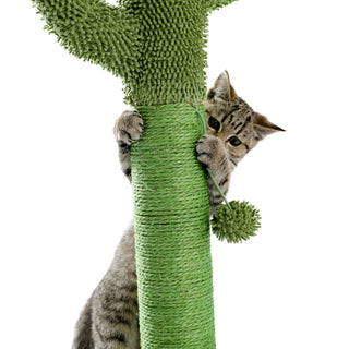Cactus Cat Scratching Post