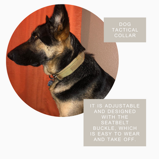 Tactical Dog Collar