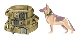 Tactical Dog Collar