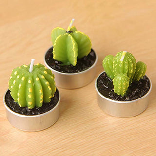 Cactus Candles 6 Piece Set