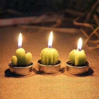Cactus Candles 6 Piece Set