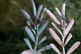 Olive Tree Branch Decor Centerpiece