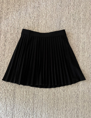 Aritzia Pleated Mini Tabby Skirt