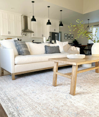 Low-Pile Neutral Area Rug