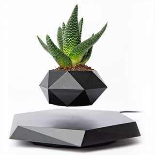 Geometric Levitating Plant Pot