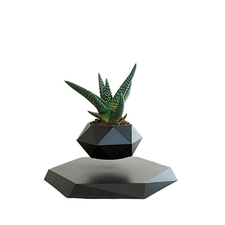 Geometric Levitating Plant Pot