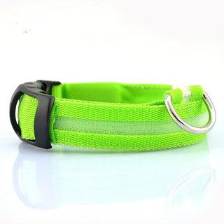 Flashing LED Dog Collar