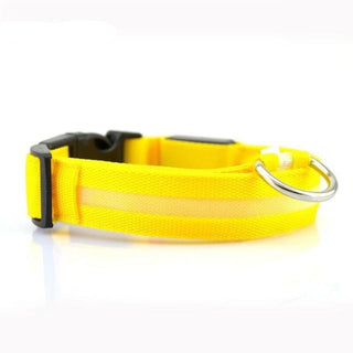 Flashing LED Dog Collar