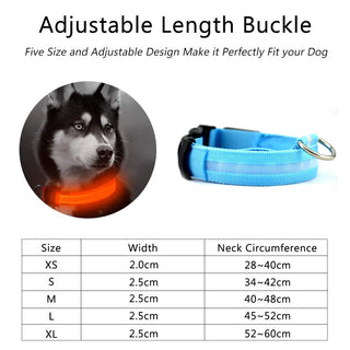 Flashing LED Dog Collar