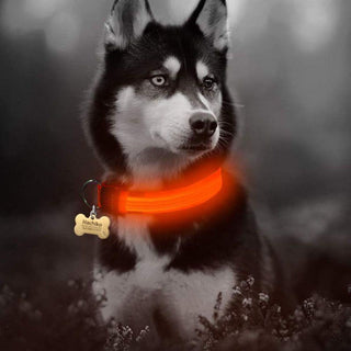 Flashing LED Dog Collar