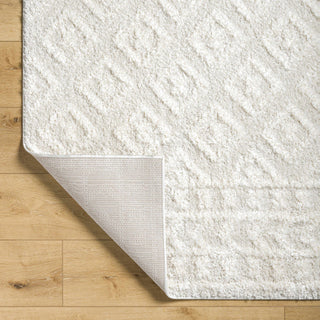 Plush Diamond Area Rug